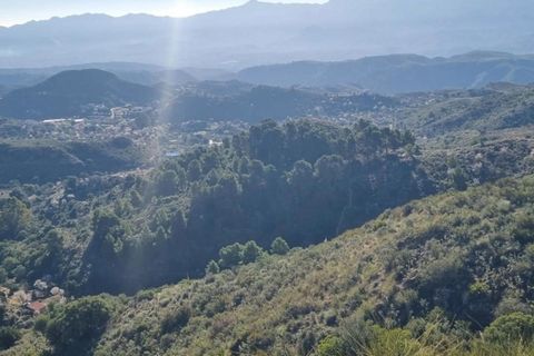 Finca i Bedar, Almeria, Bedar - € 59.000 | Ref: 2672 - foto 8