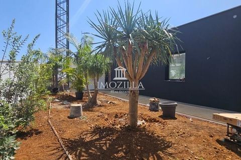 Byhus i Calheta, Madeira, Calheta - € 1.490.000 | Ref: IZ096 - foto 7