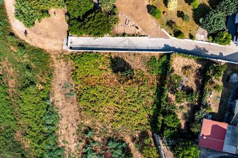 Terra a Seia, Guarda, Seia - € 29.900 | Ref: PAR_2311 - foto 4