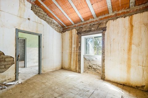 Villa i Almodovar, Beja, Almodovar - € 135.000 | Ref: LR55-105 - foto 14