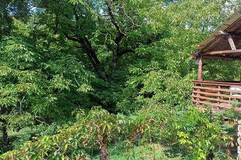 Villa a Thenon, Dordogne, Thenon - € 399.000 | Ref: 830035918444 - foto 9