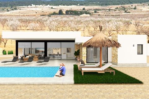 Villa i Pinoso, Alicante, Pinoso - € 595.000 | Ref: VILLACRISTAL/10254 - foto 2