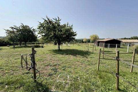 Villa i Gensac, Gironde, Gensac - € 349.900 | Ref: BVI81380 - foto 13