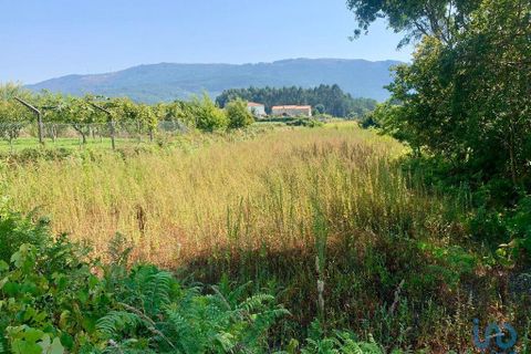 Terra a Caminha, Viana do Castelo, Caminha - € 80.000 | Ref: 148012 - foto 4