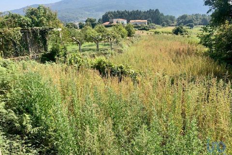 Terra a Caminha, Viana do Castelo, Caminha - € 80.000 | Ref: 148012 - foto 5