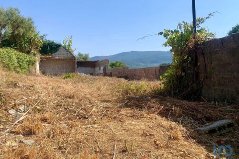 Terra a Caminha, Viana do Castelo, Caminha - € 80.000 | Ref: 148012 - foto 6