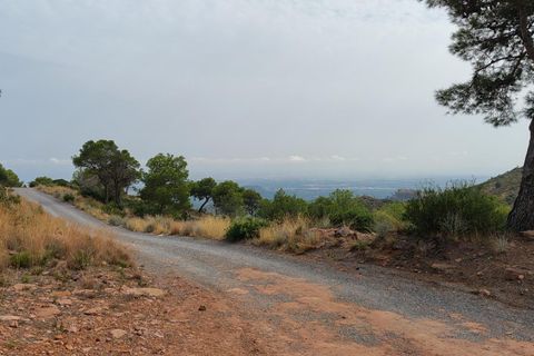 Terra a Segart, Valencia, Segart - € 17.500 | Ref: EXP11085/8930 - foto 2