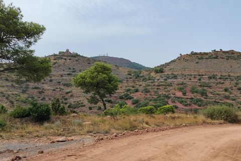 Terra a Segart, Valencia, Segart - € 17.500 | Ref: EXP11085/8930 - foto 4