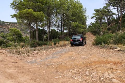Terra a Segart, Valencia, Segart - € 17.500 | Ref: EXP11085/8930 - foto 5
