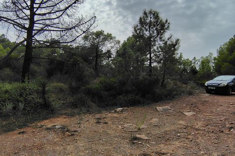Terra a Segart, Valencia, Segart - € 17.500 | Ref: EXP11085/8930 - foto 7