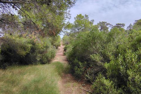 Terra a Segart, Valencia, Segart - € 17.500 | Ref: EXP11085/8930 - foto 10