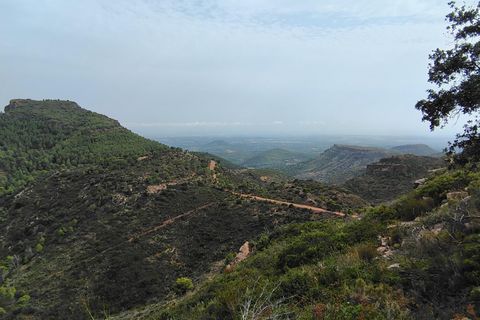 Terra a Segart, Valencia, Segart - € 17.500 | Ref: EXP11085/8930 - foto 11