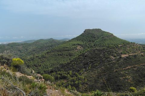 Terra a Segart, Valencia, Segart - € 17.500 | Ref: EXP11085/8930 - foto 12