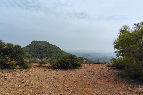 Terra a Segart, Valencia, Segart - € 17.500 | Ref: EXP11085/8930 - foto 13