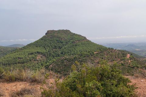 Terra a Segart, Valencia, Segart - € 17.500 | Ref: EXP11085/8930 - foto 14