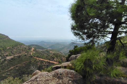 Terra a Segart, Valencia, Segart - € 17.500 | Ref: EXP11085/8930 - foto 17