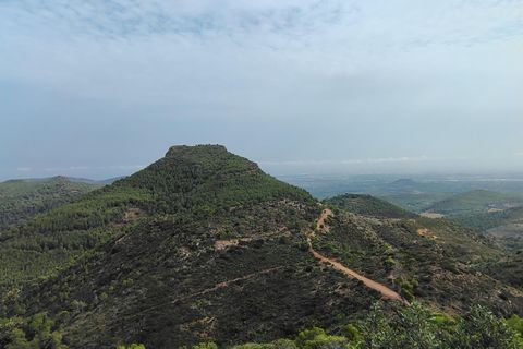 Terra a Segart, Valencia, Segart - € 17.500 | Ref: EXP11085/8930 - foto 19
