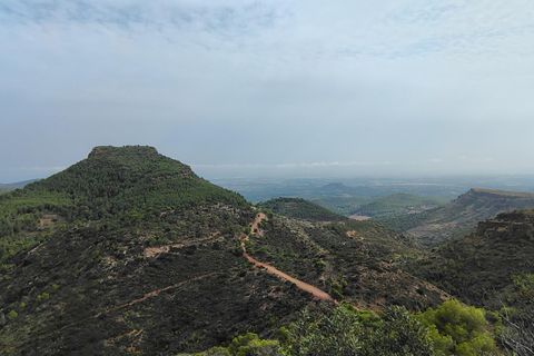Terra a Segart, Valencia, Segart - € 17.500 | Ref: EXP11085/8930 - foto 20