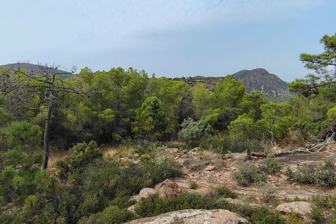 Terra a Segart, Valencia, Segart - € 17.500 | Ref: EXP11085/8930 - foto 21