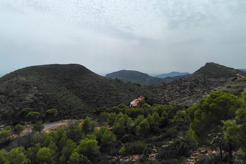 Terra a Segart, Valencia, Segart - € 17.500 | Ref: EXP11085/8930 - foto 22