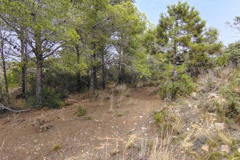 Terra a Segart, Valencia, Segart - € 17.500 | Ref: EXP11085/8930 - foto 23
