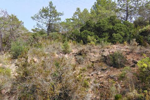 Terra a Segart, Valencia, Segart - € 17.500 | Ref: EXP11085/8930 - foto 27