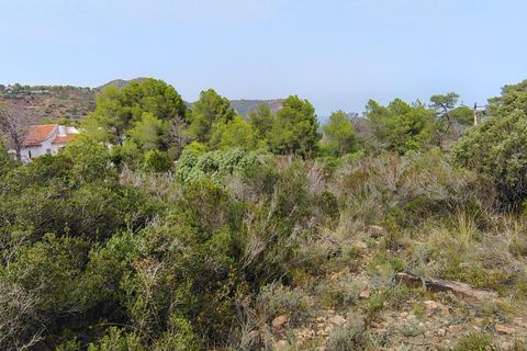 Terra a Segart, Valencia, Segart - € 17.500 | Ref: EXP11085/8930 - foto 28