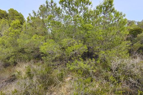 Terra a Segart, Valencia, Segart - € 17.500 | Ref: EXP11085/8930 - foto 29
