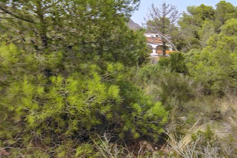Terra a Segart, Valencia, Segart - € 17.500 | Ref: EXP11085/8930 - foto 30