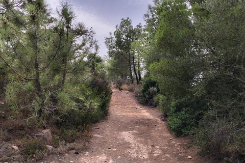 Terra a Segart, Valencia, Segart - € 17.500 | Ref: EXP11085/8930 - foto 33