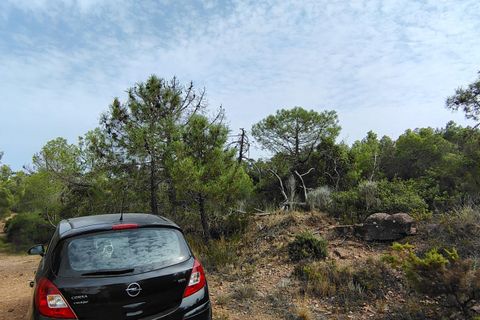 Terra a Segart, Valencia, Segart - € 17.500 | Ref: EXP11085/8930 - foto 34