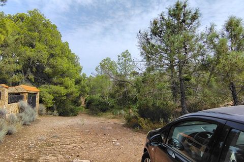 Terra a Segart, Valencia, Segart - € 17.500 | Ref: EXP11085/8930 - foto 35