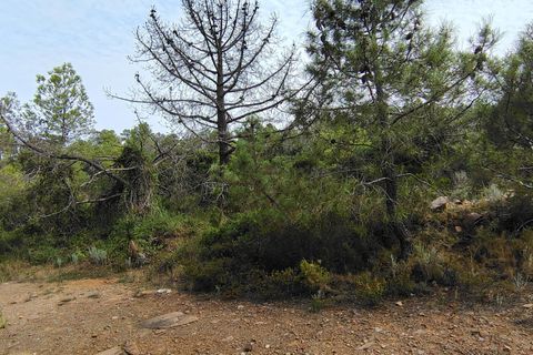 Terra a Segart, Valencia, Segart - € 17.500 | Ref: EXP11085/8930 - foto 36