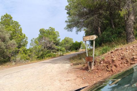 Terra a Segart, Valencia, Segart - € 17.500 | Ref: EXP11085/8930 - foto 38