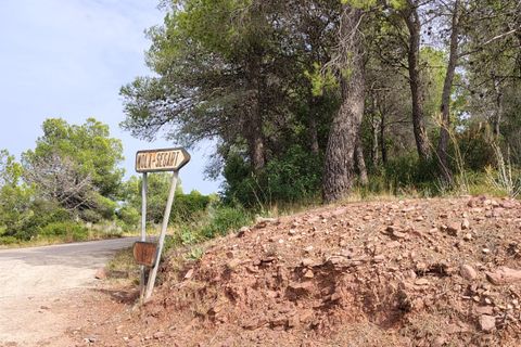 Terra a Segart, Valencia, Segart - € 17.500 | Ref: EXP11085/8930 - foto 39