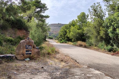 Terra a Segart, Valencia, Segart - € 17.500 | Ref: EXP11085/8930 - foto 40