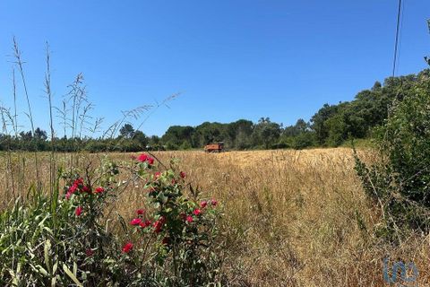 Helårsgrund i Aveiro, Aveiro, Aveiro - € 110.000 | Ref: 147765 - foto 1