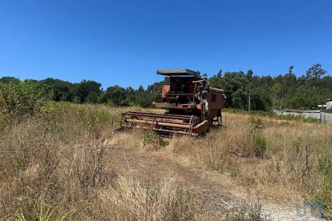 Helårsgrund i Aveiro, Aveiro, Aveiro - € 110.000 | Ref: 147765 - foto 2