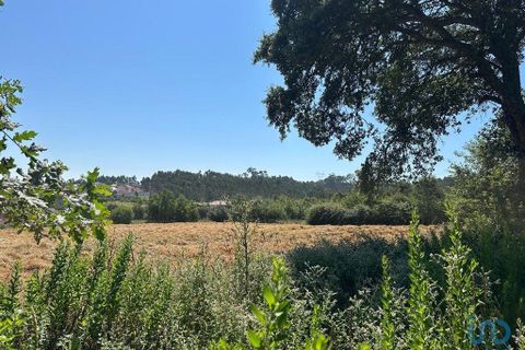 Helårsgrund i Aveiro, Aveiro, Aveiro - € 110.000 | Ref: 147765 - foto 3