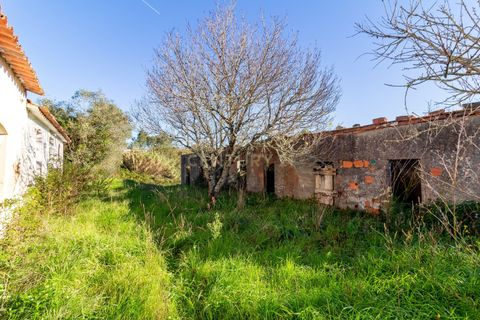 Villa i Alcobaca, Leiria, Alcobaca - € 185.000 | Ref: 0563-01681 - foto 4