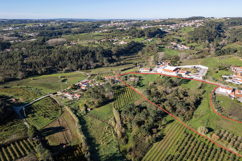 Villa i Alcobaca, Leiria, Alcobaca - € 185.000 | Ref: 0563-01681 - foto 11