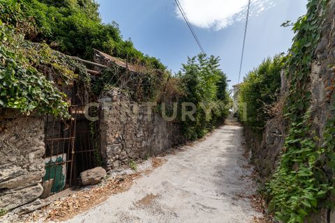 Villa a Riposto, Catania, Riposto - € 230.000 | Ref: 013-020 - foto 4