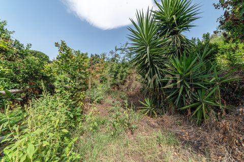 Villa a Riposto, Catania, Riposto - € 230.000 | Ref: 013-020 - foto 12