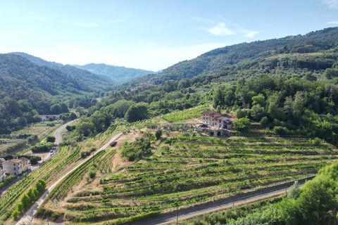 Villa i Lucca, Lucca, Lucca - € 990.000 | Ref: IA04043 - foto 2