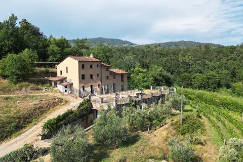 Villa i Lucca, Lucca, Lucca - € 990.000 | Ref: IA04043 - foto 3