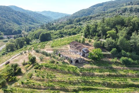 Villa i Lucca, Lucca, Lucca - € 990.000 | Ref: IA04043 - foto 4
