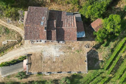 Villa i Lucca, Lucca, Lucca - € 990.000 | Ref: IA04043 - foto 6