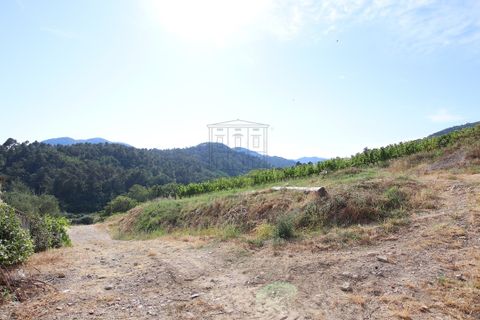 Villa i Lucca, Lucca, Lucca - € 990.000 | Ref: IA04043 - foto 8