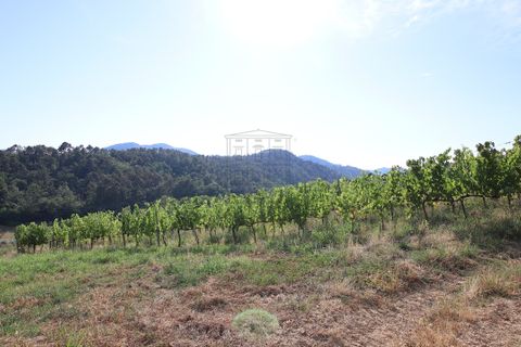 Villa i Lucca, Lucca, Lucca - € 990.000 | Ref: IA04043 - foto 11