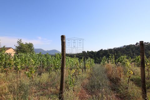 Villa i Lucca, Lucca, Lucca - € 990.000 | Ref: IA04043 - foto 14
